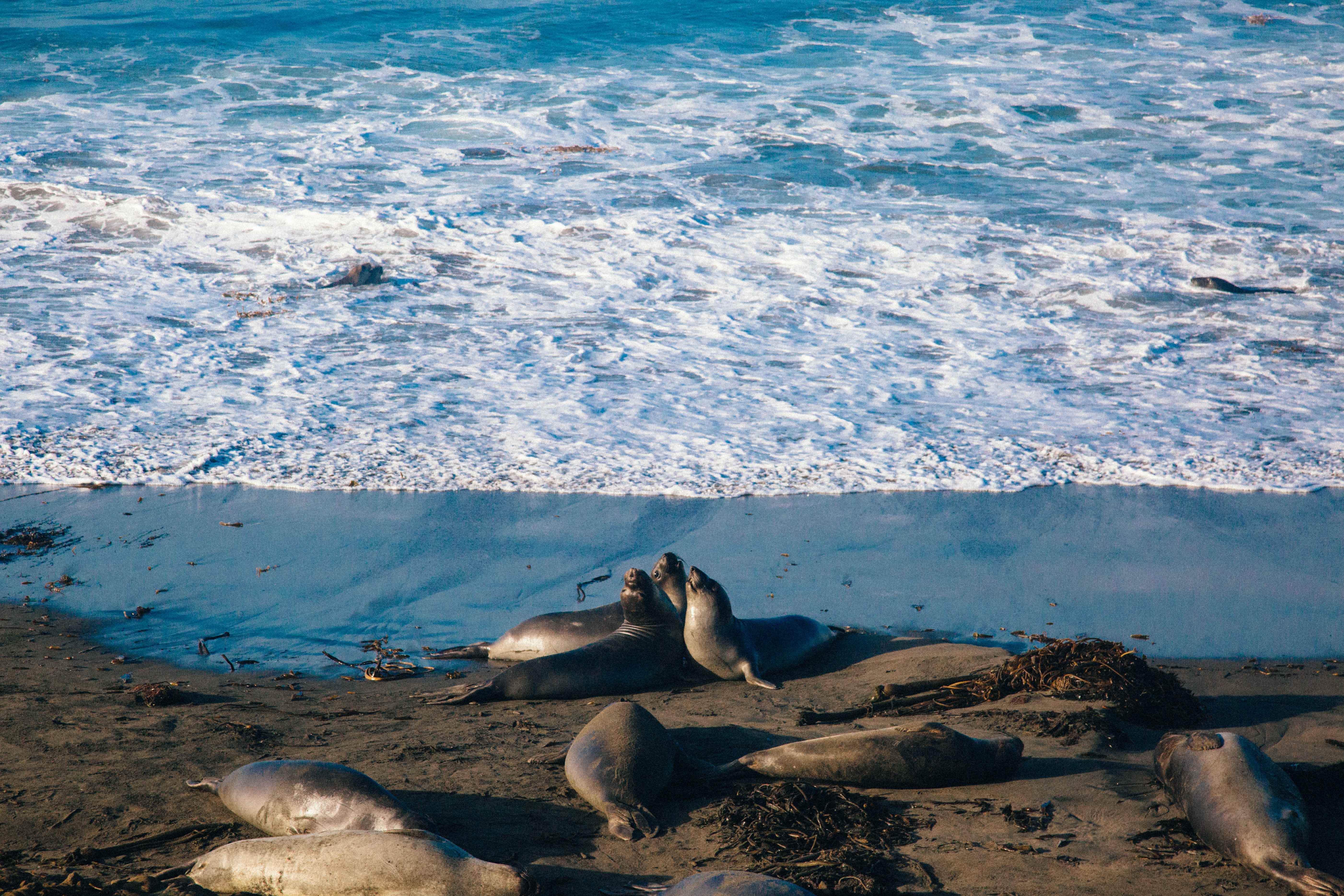 This Insta-Worthy Road Trip To Sleep in a Human Nest is Everything